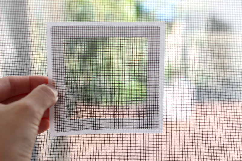 IMG_7156 - コピー