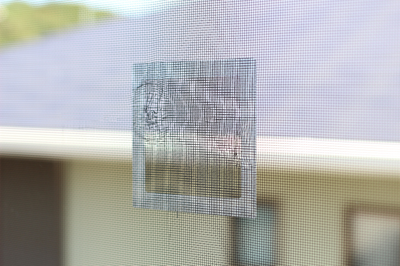 IMG_7189 - コピー