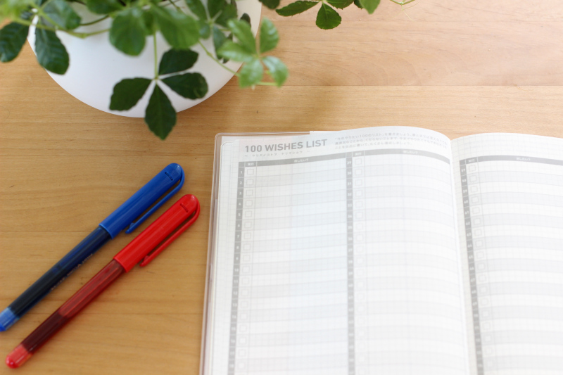 IMG_8531 - コピー