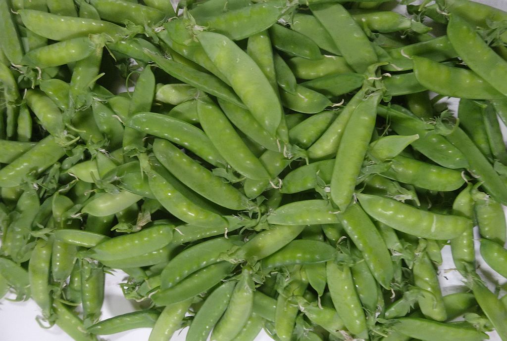 みとりえんどう だった 私の好きな時間空間仲間たち 一日一楽