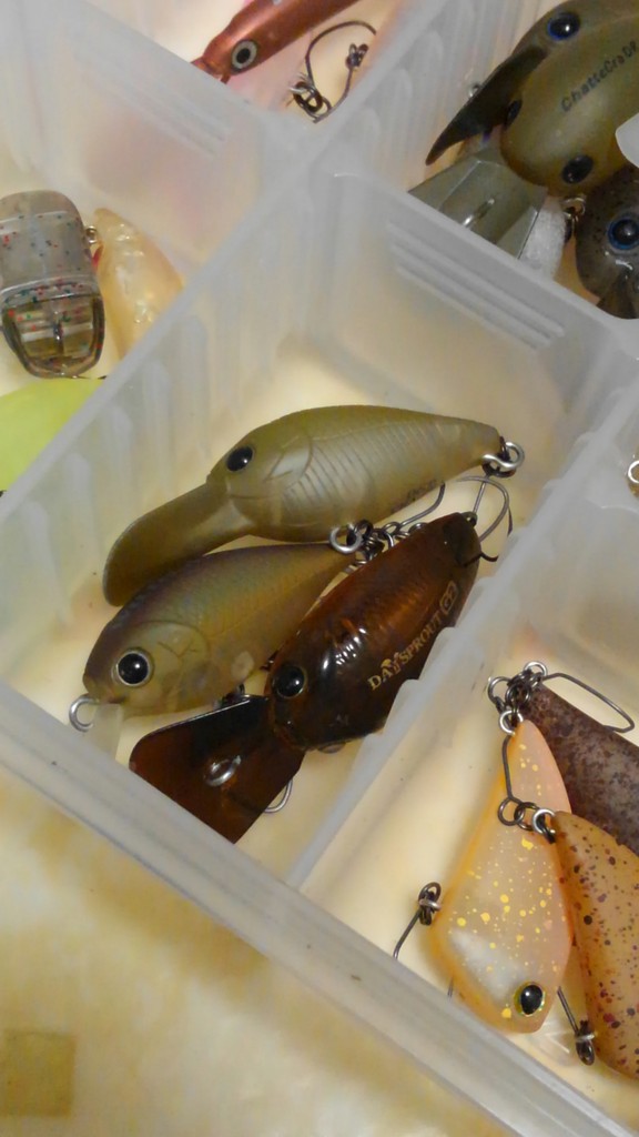 クランク Ittoの擬似餌物語