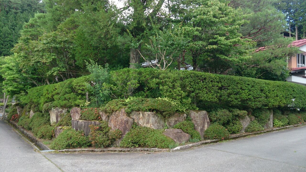 昨日の続き 一位の垣根の剪定 山城工芸の朝市ブログ