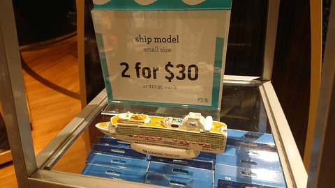 欲しいけど、帰ったらきっと置物になってしまう