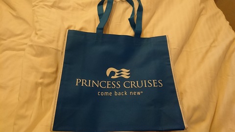 かなり気に入りました