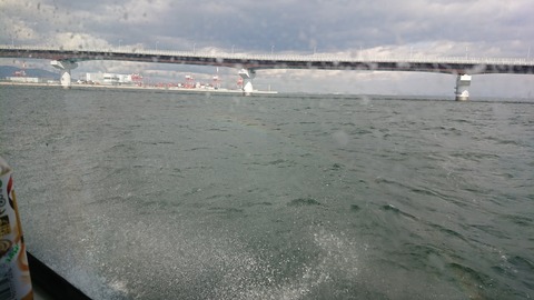 DSCPDC_0003_BURST20190316140248984_COVER