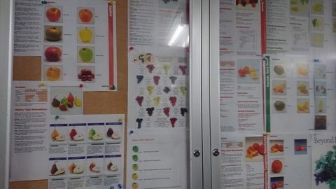 DSCPDC_0003_BURST20180614113149330_COVER