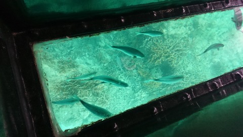 DSCPDC_0000_BURST20180611135323102 (1)