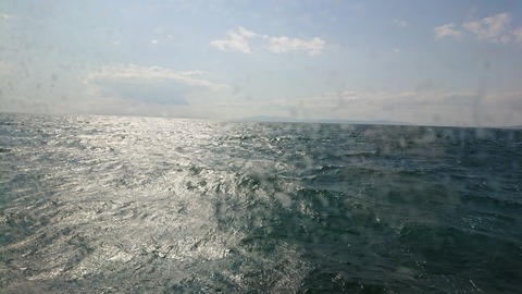 DSCPDC_0001_BURST20190316140953782_COVER