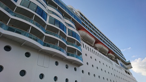 間近で見ると大きい