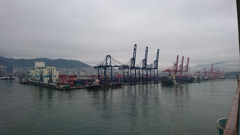 クレーンもたくさん