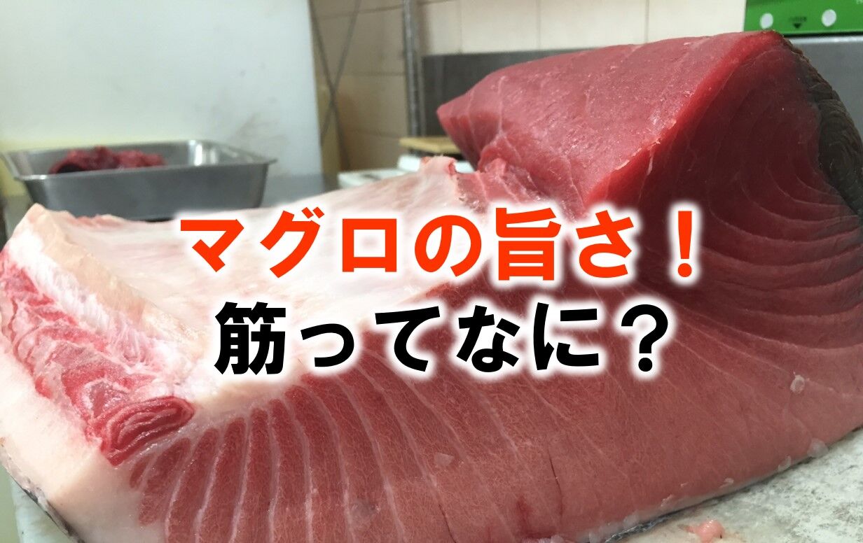 マグロの旨さ マグロの筋ってなに いついな ブログ