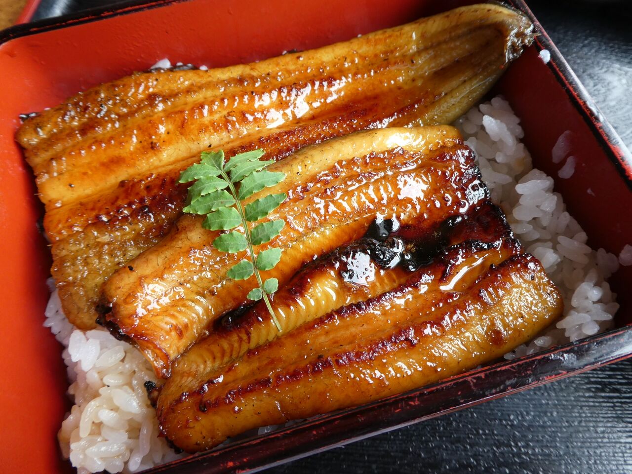 魚の旬とは 旬の魚が美味しいとは限らない いついな ブログ 魚の旬とは 旬の魚が美味しいとは限らない いついな ブログ