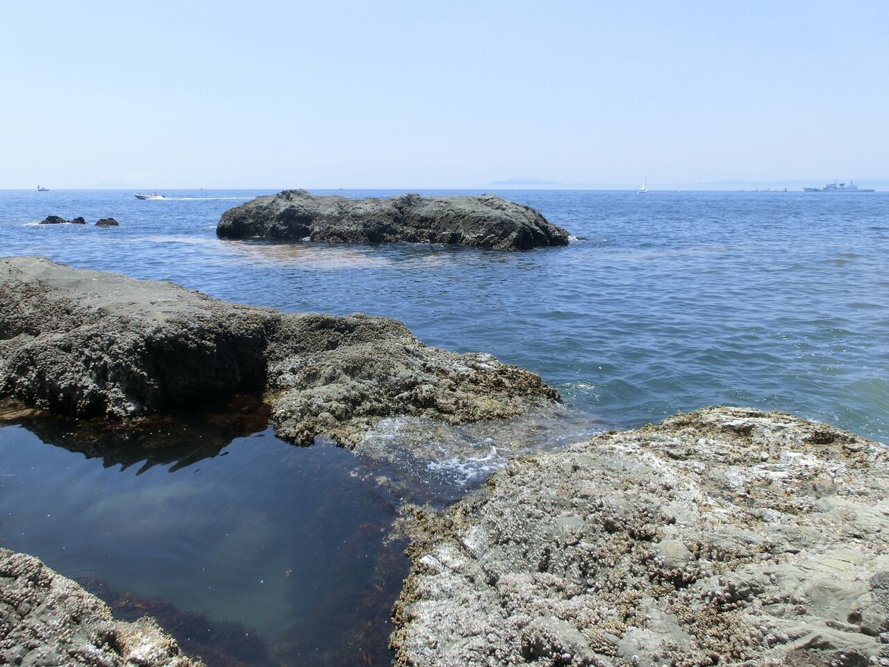 理解して釣果アップ 魚がよく釣れる 時合い じあい いついな ブログ 理解して釣果アップ 魚がよく釣れる 時合い じあい いついな ブログ