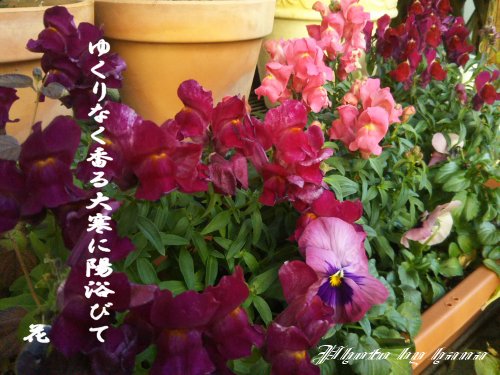 イメージ 1