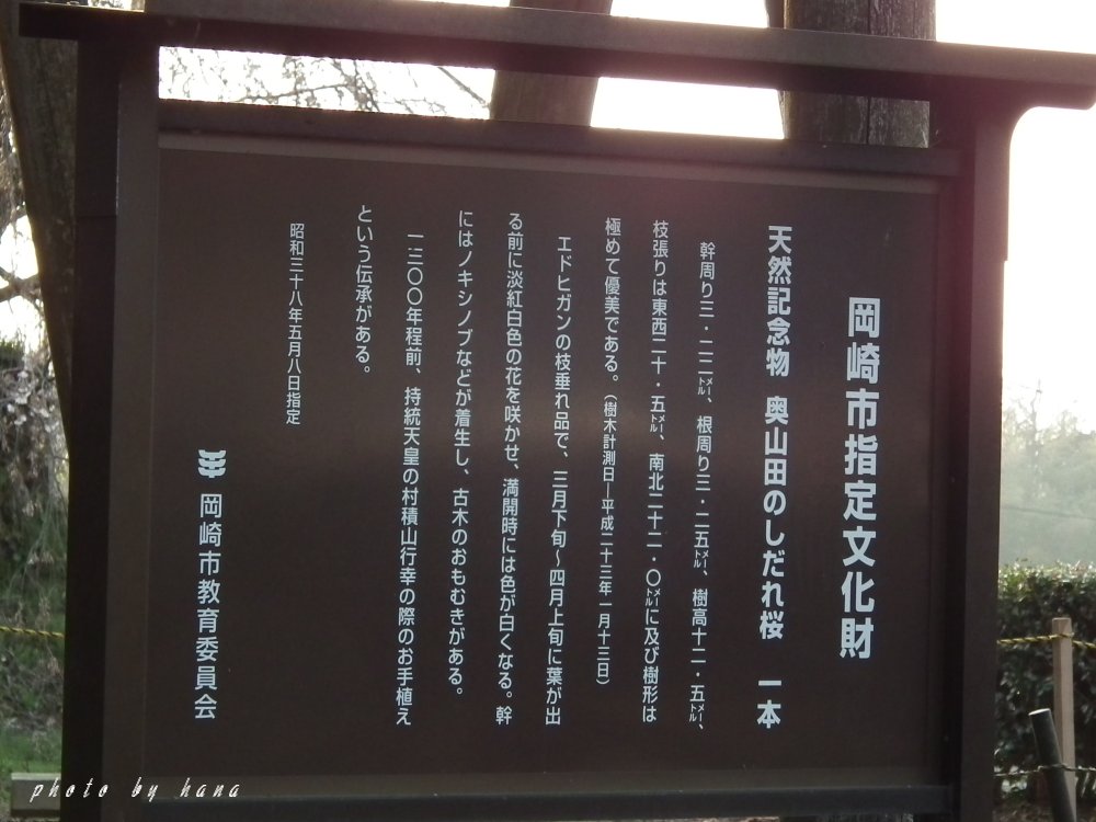 イメージ 2