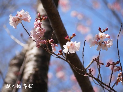 240322_5