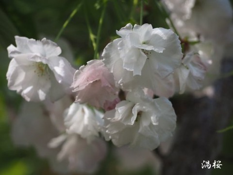 a11_mei23