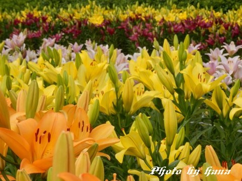 190605_01