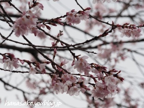 240326_6