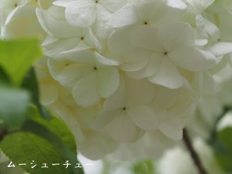 240418_3