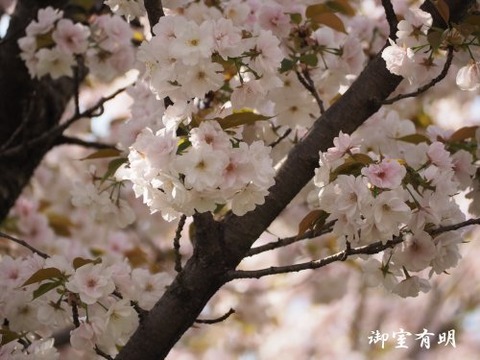 a17_his23