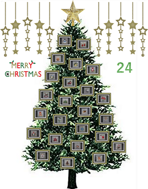 241224