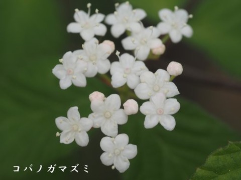 240418_7
