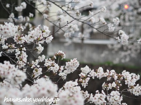 240405_2