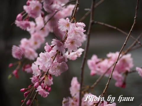 230324_10