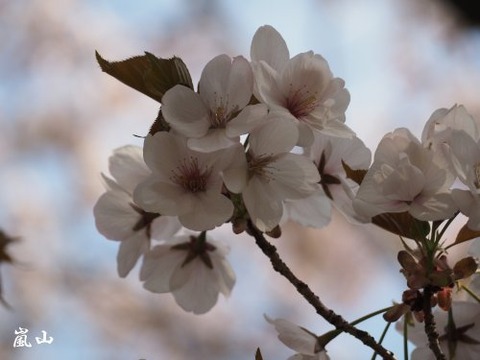 a4_his23