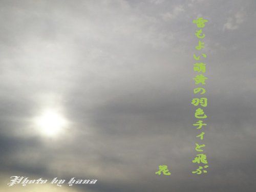 イメージ 1
