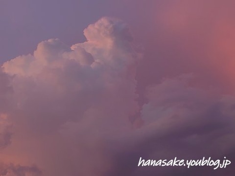 240824_3