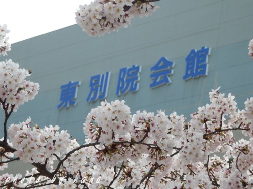 イメージ 3