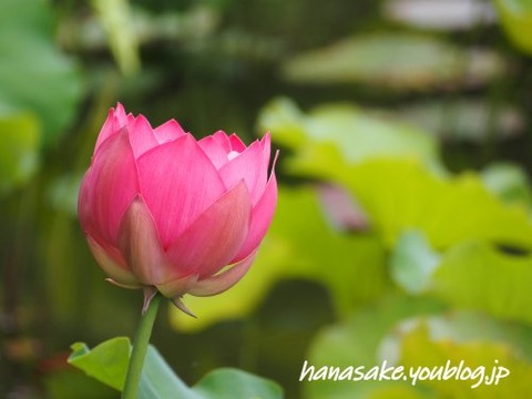 230626_6