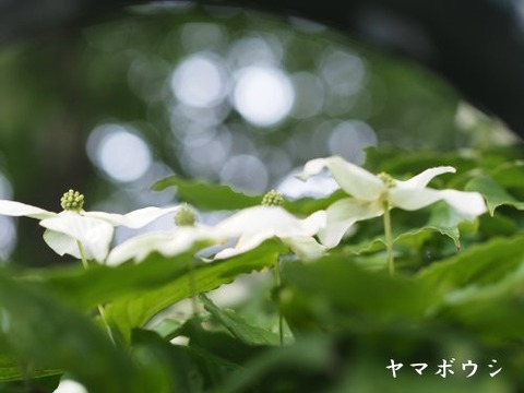 240615_5