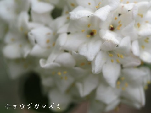 240418_6