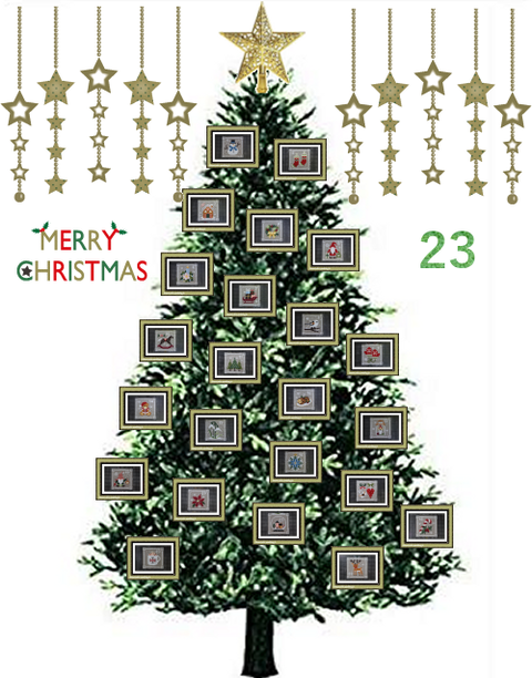 241223