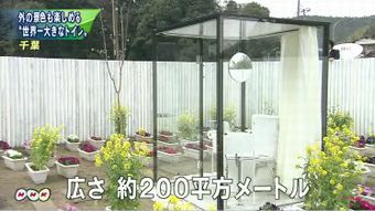 トイレ4