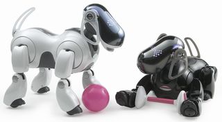 Aibo