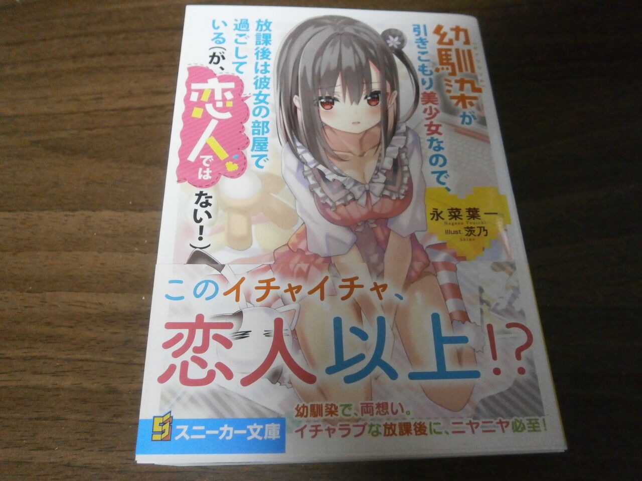 幼馴染が引きこもり美少女なので 放課後は彼女の家で過ごしている が 恋人ではない 感想 ラノベ街 ラノベ感想 幼馴染が引きこもり美少女なので 放課後は彼女の家で過ごしている が 恋人ではない 感想 ラノベ街 ラノベ感想
