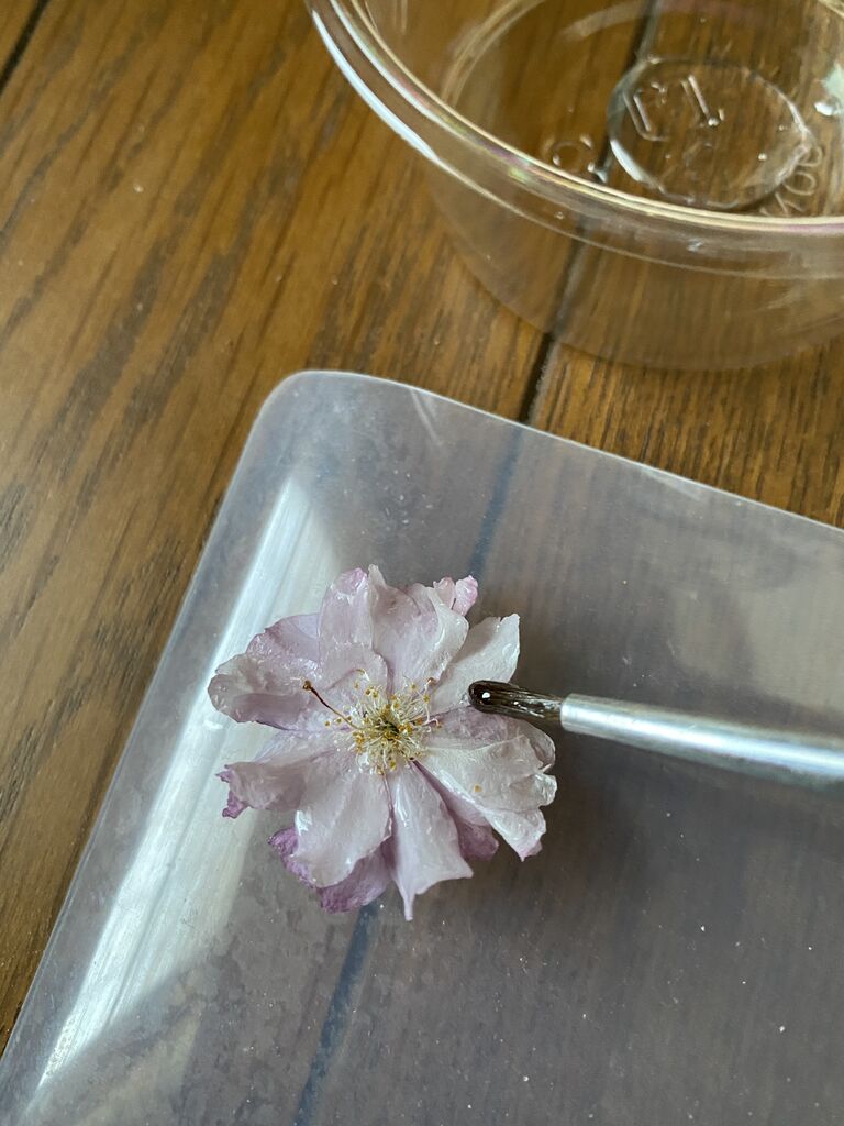 レジン 花びらをコーティングして透明化を防ぐ いつきちゃんのほのぼの日記