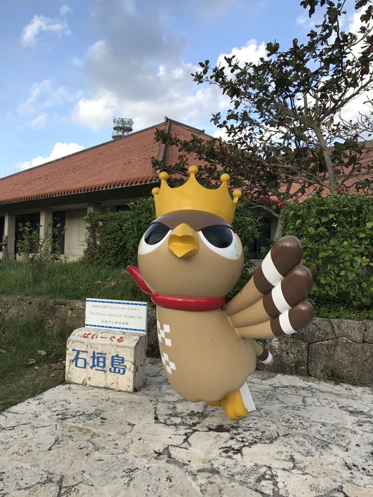 八重山諸島のお正月 5日目 その2 いつきちゃんのほのぼの日記