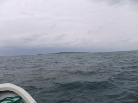 o0480036011515497307
