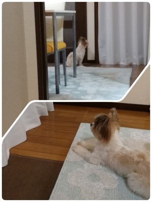 20-09-01-10-01-50-501_deco