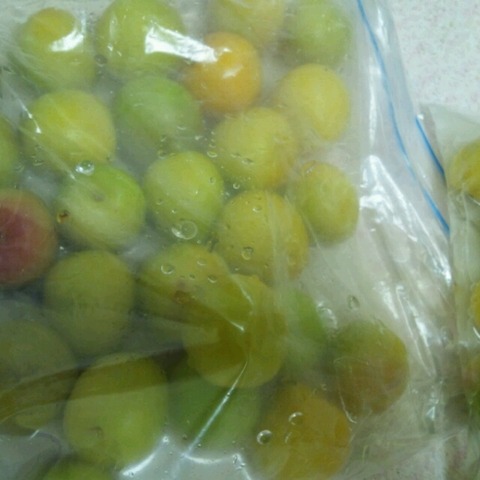 o0640064012053230106