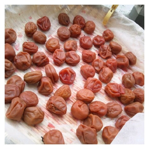 o0640064012094066221