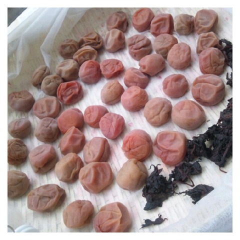 o0640064012094066020