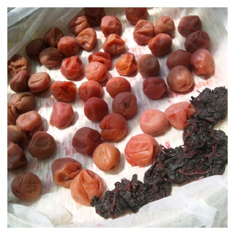 o0640064012094065869