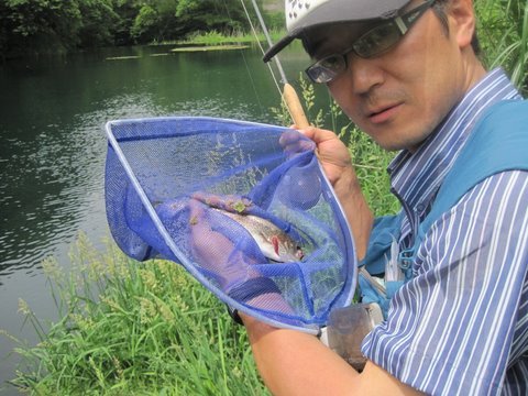 $ピュアティマスターのアウトドアな1日