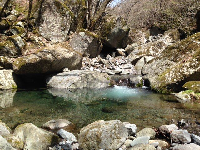 yamame,iwananohoukosagasi37196